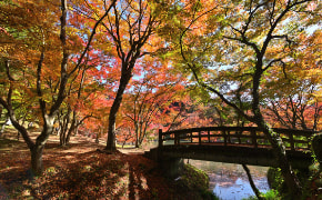 yujakupark