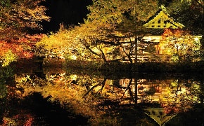 yujakupark